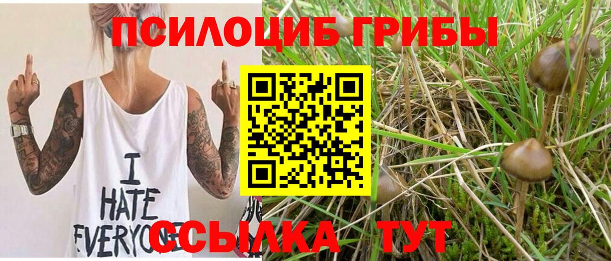 Галлюциногенные грибы Psilocybine cubensis Серов