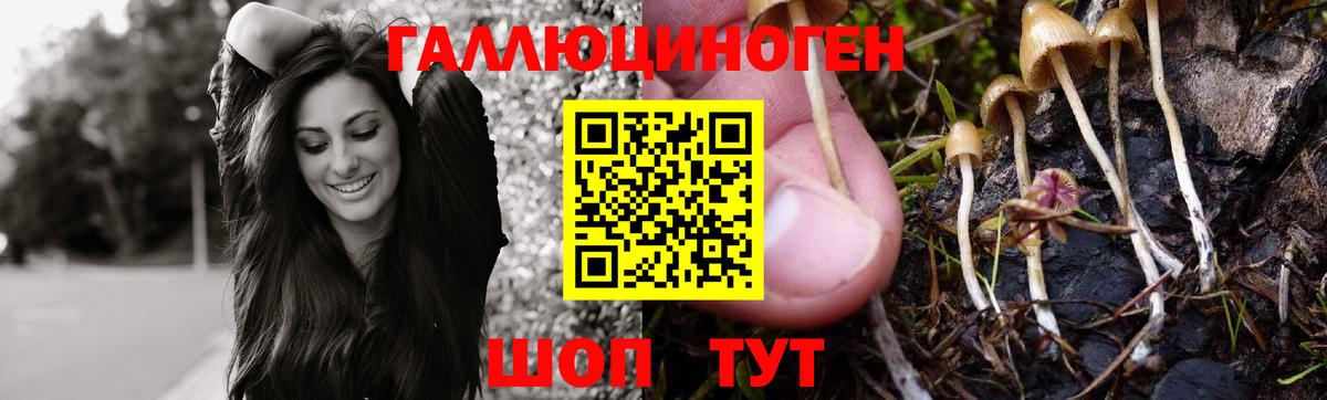 Серов  Псилоцибиновые грибы MAGIC MUSHROOMS  Вход с VPN 